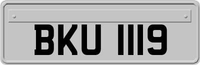 BKU1119