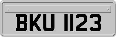 BKU1123