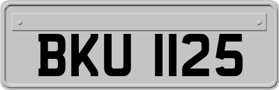 BKU1125