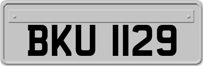 BKU1129