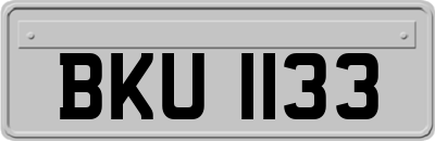 BKU1133