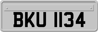 BKU1134