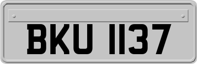 BKU1137