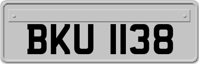 BKU1138