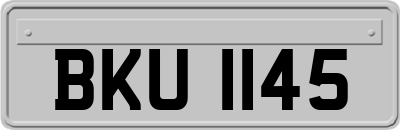 BKU1145