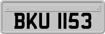 BKU1153