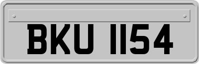 BKU1154