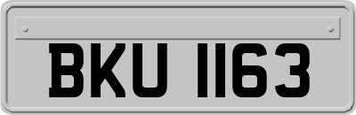 BKU1163