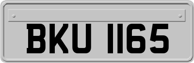BKU1165