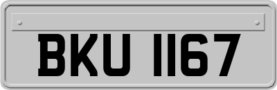 BKU1167