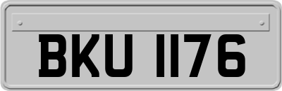 BKU1176