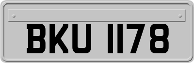 BKU1178