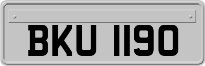 BKU1190