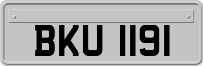 BKU1191