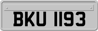 BKU1193