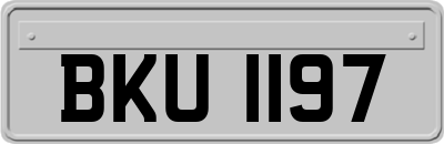 BKU1197