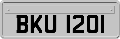 BKU1201