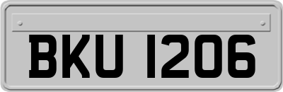 BKU1206