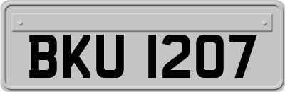 BKU1207