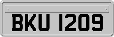 BKU1209