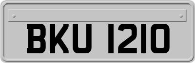 BKU1210