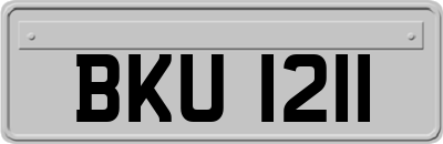 BKU1211