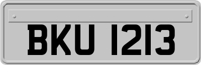 BKU1213