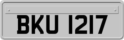 BKU1217