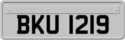 BKU1219