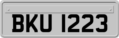 BKU1223