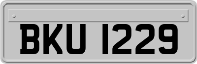 BKU1229