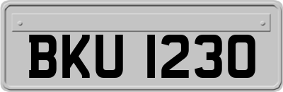 BKU1230