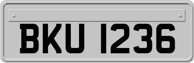 BKU1236