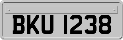 BKU1238