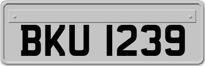 BKU1239