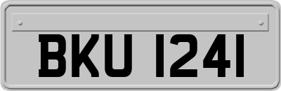 BKU1241