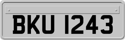 BKU1243
