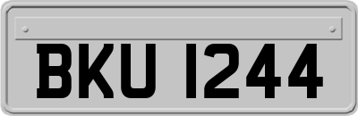 BKU1244