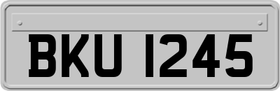BKU1245