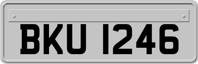 BKU1246