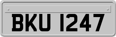 BKU1247