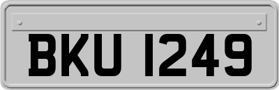 BKU1249