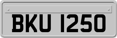 BKU1250