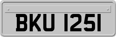 BKU1251