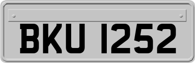 BKU1252