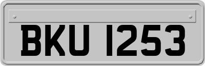 BKU1253