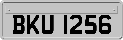 BKU1256