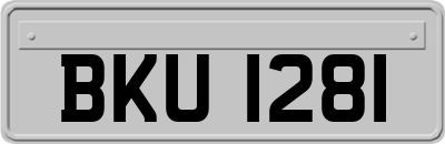 BKU1281