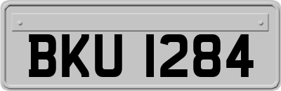 BKU1284