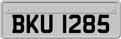 BKU1285